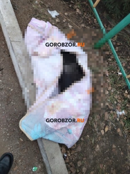 «Следы удушья, насилия и ударов»: появились новые подробности жестокого убийства собаки в Башкирии «Следы удушья, насилия и ударов»: появились новые подробности жестокого убийства собаки в Башкирии