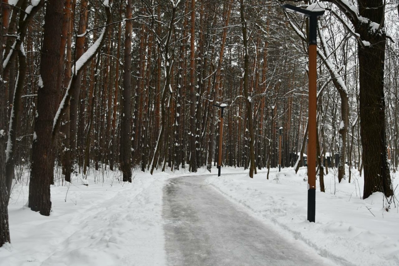 В парке Лесоводов Башкирии открылся каток В парке Лесоводов Башкирии открылся каток