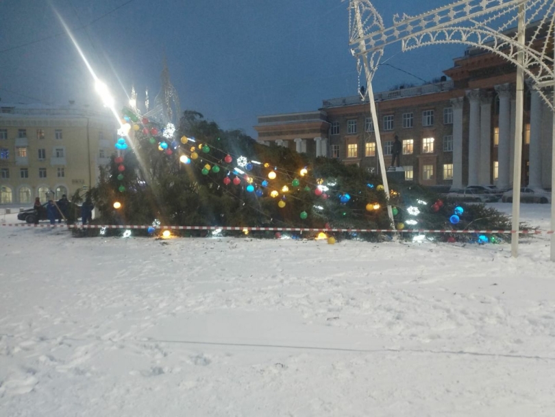 В Уфе сильный ветер повалил елку возле дворца Орджоникидзе В Уфе сильный ветер повалил елку возле дворца Орджоникидзе