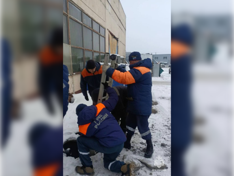 Под Уфой спасатели вытащили собаку из колодца Под Уфой спасатели вытащили собаку из колодца