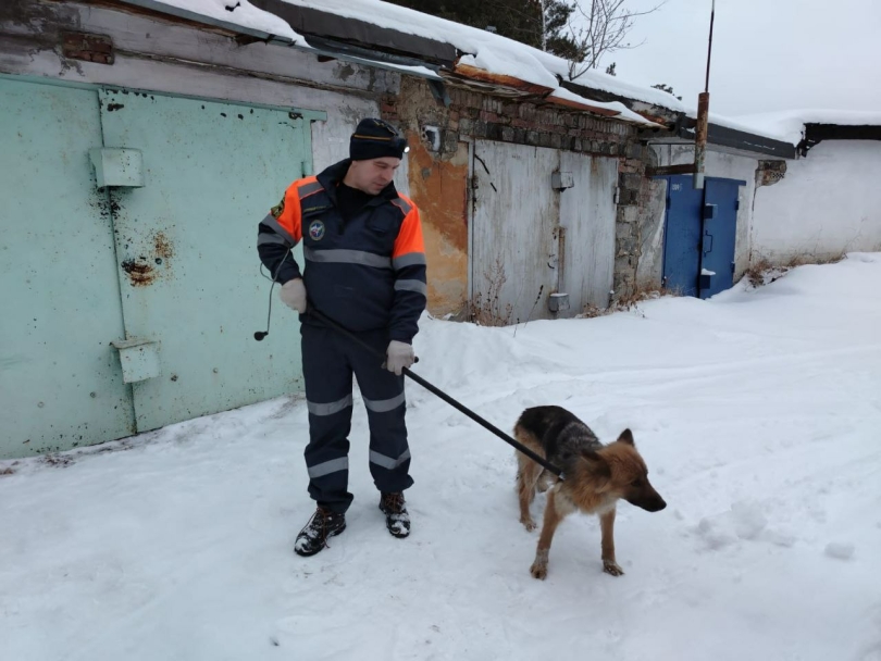 В Башкирии спасатели помогли собаке выбраться из погреба В Башкирии спасатели помогли собаке выбраться из погреба