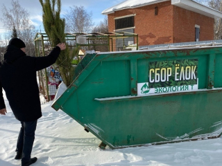 В башкирском городе Туймазы пройдет экоакция «Елки на переработку»