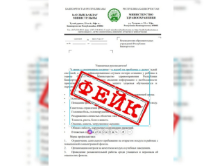 Минздрав Башкирии опроверг фейки о феноле