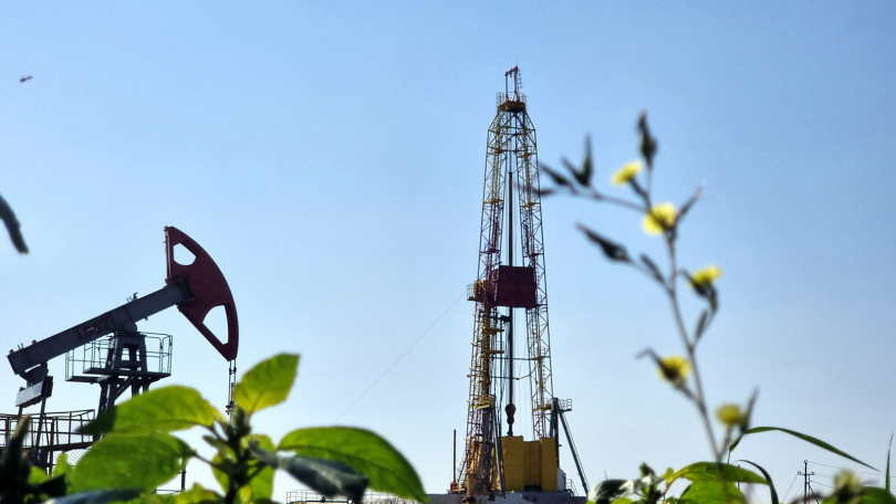 В 2024 году нефтяники Башкирии открыли Губеевское месторождение и 21 новую залежь нефти В 2024 году нефтяники Башкирии открыли Губеевское месторождение и 21 новую залежь нефти
