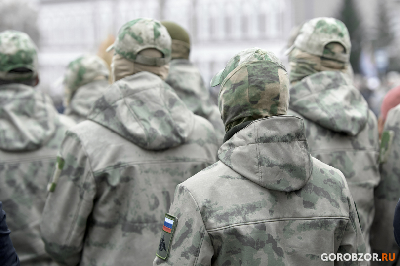 Семьи участников СВО из Башкирии могут сэкономить на льготах до 650 тысяч рублей за год Семьи участников СВО из Башкирии могут сэкономить на льготах до 650 тысяч рублей за год