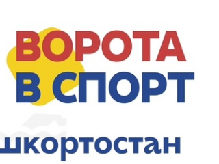Трансляции хоккейных матчей в рамках Сельских спортивных игр Республики Башкортостан в селе Чекмагуш