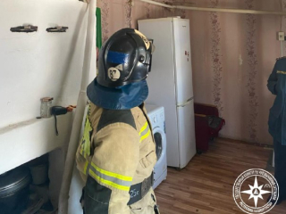 В Башкирии пожарный извещатель спас жизнь пожилой женщине