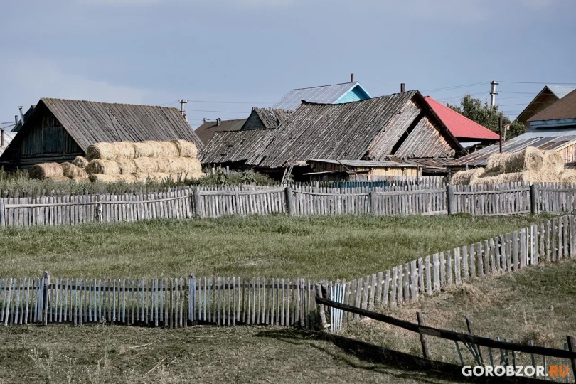 Жителям Башкирии рассказали, как выбрать семена для рассады Жителям Башкирии рассказали, как выбрать семена для рассады
