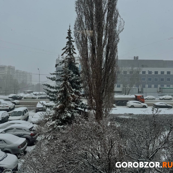 Уфу накрыл апрельский снегопад Уфу накрыл апрельский снегопад