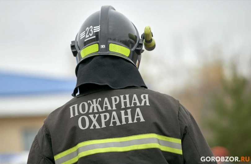 В Башкирии за сутки было зафиксировано 20 случаев горения травы В Башкирии за сутки было зафиксировано 20 случаев горения травы