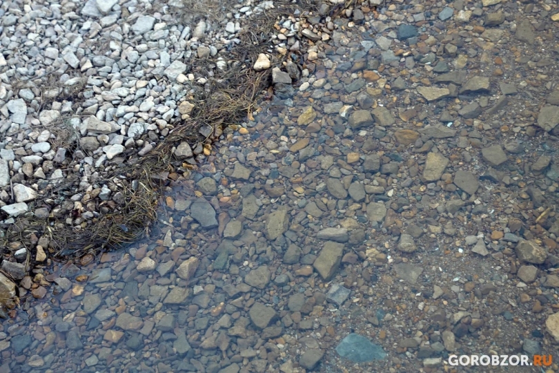 Порядка 350 жителей Башкортостана приняли участие в акции «Вода России» Порядка 350 жителей Башкортостана приняли участие в акции «Вода России»