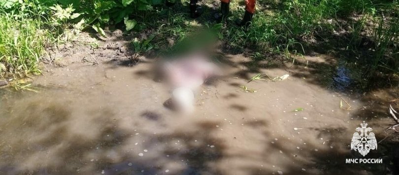 В Башкирии из реки достали тело 56-летнего мужчины В Башкирии из реки достали тело 56-летнего мужчины