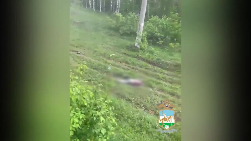 В Башкирии угонщики опрокинули автомобиль, пытаясь скрыться от сотрудников полиции В Башкирии угонщики опрокинули автомобиль, пытаясь скрыться от сотрудников полиции