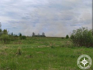В двух районах Башкирии загорелась сухая трава