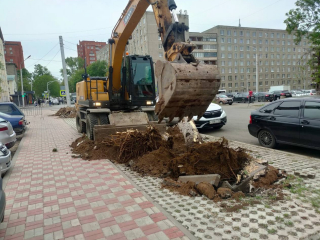 В историческом центре Уфы вместо аварийных деревьев высадят молодые крупномеры