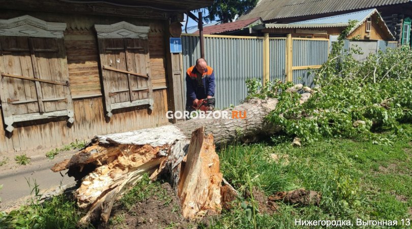 В Уфе сильный ветер повалил шесть деревьев В Уфе сильный ветер повалил шесть деревьев