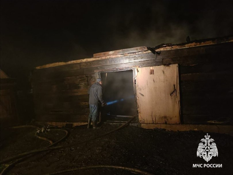Женщина и корова погибли при пожаре из-за удара молнии в Башкирии Женщина и корова погибли при пожаре из-за удара молнии в Башкирии