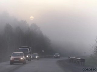 Жителей Башкирии предупредили о тумане на дорогах