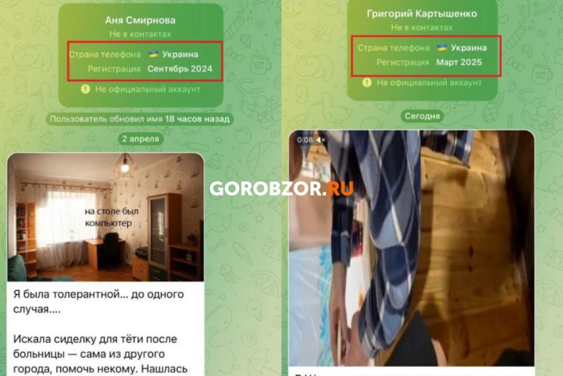 Безуспешная информационная война Украины и как она связана с Башкирией Безуспешная информационная война Украины и как она связана с Башкирией