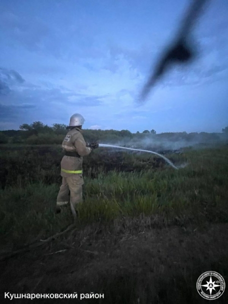Лесной пожар произошел в районе Башкирии Лесной пожар произошел в районе Башкирии