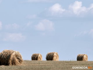 Объемы обновления парка АПК Башкирии за 5 месяцев выросли до 4,7 млрд рублей