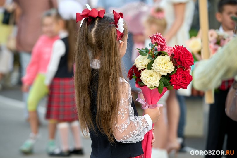 В Башкирии более 40 тысяч родителей записали детей в школу через «Госуслуги» В Башкирии более 40 тысяч родителей записали детей в школу через «Госуслуги»