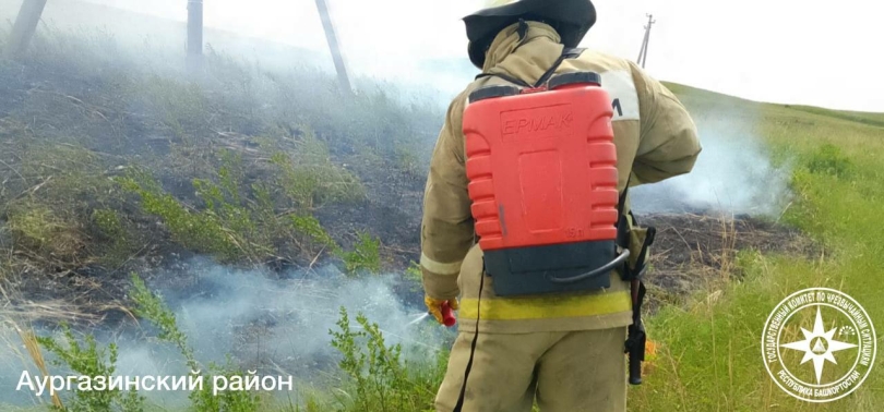 В Башкирии потушили горящую сухую траву В Башкирии потушили горящую сухую траву