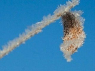 В Башкирии ударят заморозки