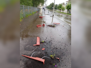 В Башкирии вандалы разбили кашпо с цветами