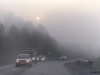 Жителей Башкирии предупредили о тумане на дорогах