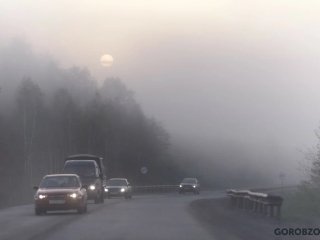 На дорогах Башкирии ухудшится видимость из-за тумана и дождя