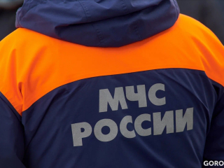 В Башкирии пожилой мужчина ушел за ягодами и потерялся в лесу