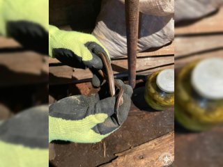 В Башкирии спасатели извлекли змею из погреба в гараже
