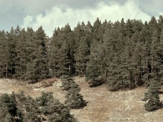 В Башкирии за сутки потерялись три человека