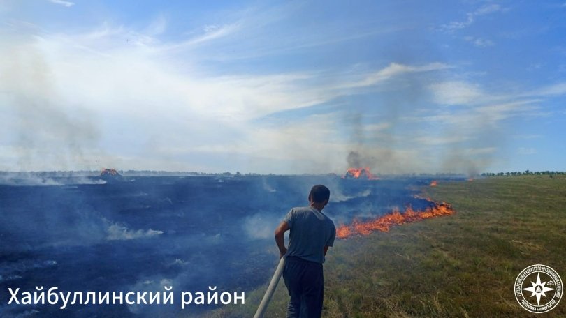 В двух районах Башкирии загорелась сухая трава В двух районах Башкирии загорелась сухая трава