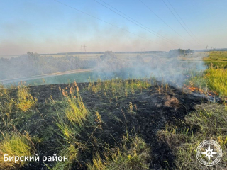 В двух районах Башкирии загорелась сухая трава