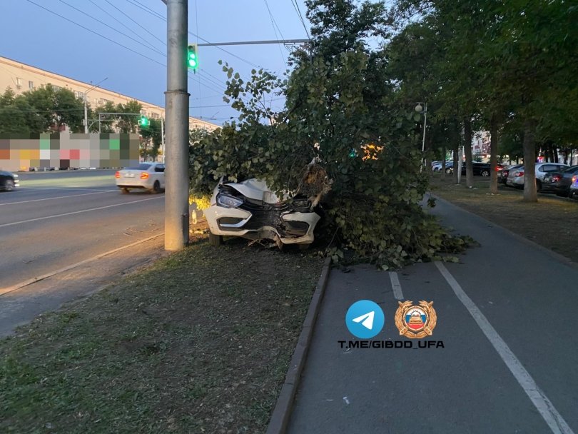 В Уфе водитель такси снес дерево на проспекте Октября В Уфе водитель такси снес дерево на проспекте Октября
