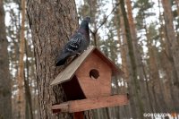 «Дом, в котором»: как живется в «Идель Тауэр» на проспекте Октября