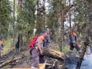 В Башкирии не локализованными остаются 2 очага лесных пожаров