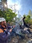 В Башкирии не локализованными остаются 2 очага лесных пожаров