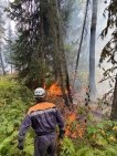 В Башкирии не локализованными остаются 2 очага лесных пожаров