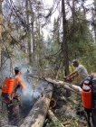 В Башкирии не локализованными остаются 2 очага лесных пожаров