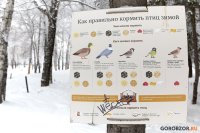 Горы плиток и торчащие трубы: как выглядит парк Нефтехимиков в Уфе в день обещанного открытия