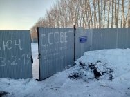 «Откуда столько трупов?» – в Башкирии нашли массовое захоронение собак