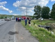 Двое погибли, двое пострадали: на трассе в Башкирии столкнулись легковушки