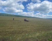 В Башкирии легковушка влетела в столб, погибли два человека