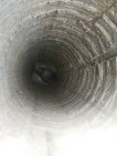 «Услышал мяуканье»: уфимские спасатели помогли четвероногим выбраться из ямы и автомобиля