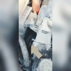 «Услышал мяуканье»: уфимские спасатели помогли четвероногим выбраться из ямы и автомобиля