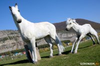 Слабослышащие школьники из Уфы впервые увидели красоты Башкирии в этнотуре
