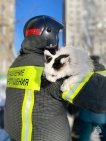 В Уфе из пожара спасли 62 человека, один человек погиб